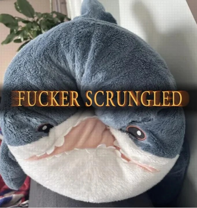 Image from Aria Board album